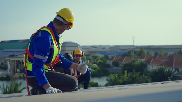 Best Cold Roofs  in Lasalle, IL