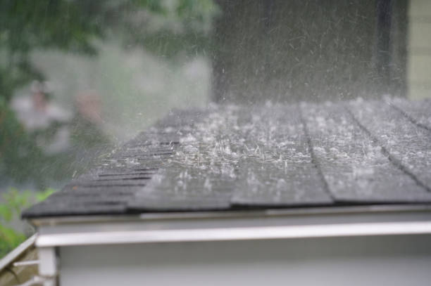 Best Rubber Roofing (EPDM, TPO)  in Lasalle, IL