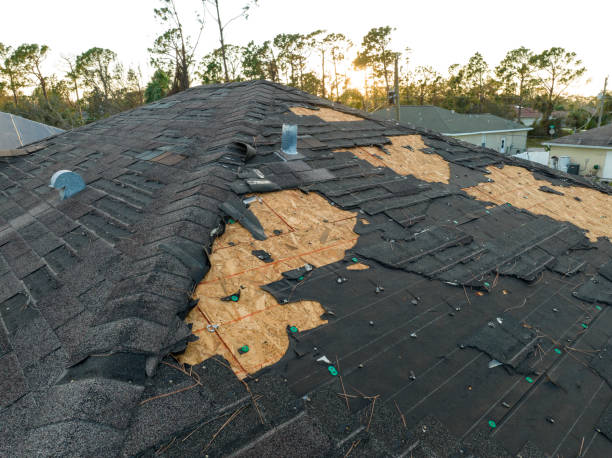 Best Roof Leak Repair  in Lasalle, IL