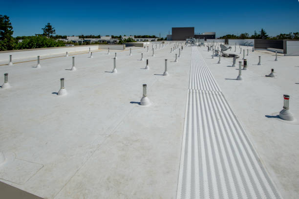 Best Steel Roofing  in Lasalle, IL